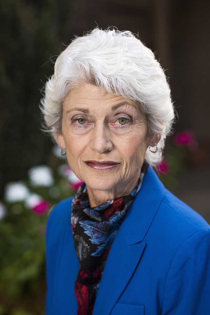 E. Diane Graham, Lawyer at Ledbetter Law Firm